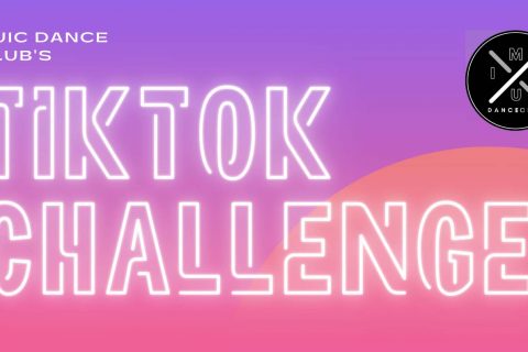 TikTok Challenge 2