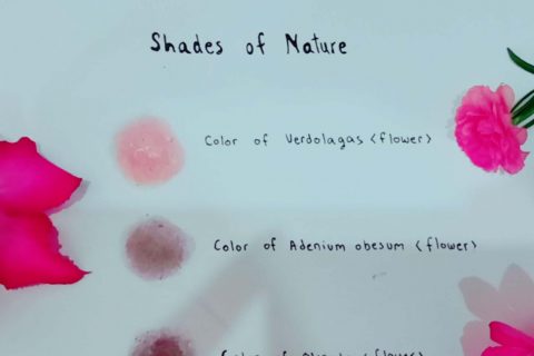 1000_Shades of Nature