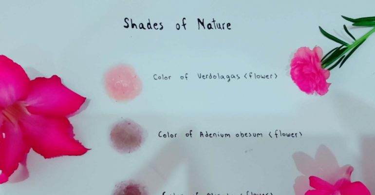 1000_Shades of Nature