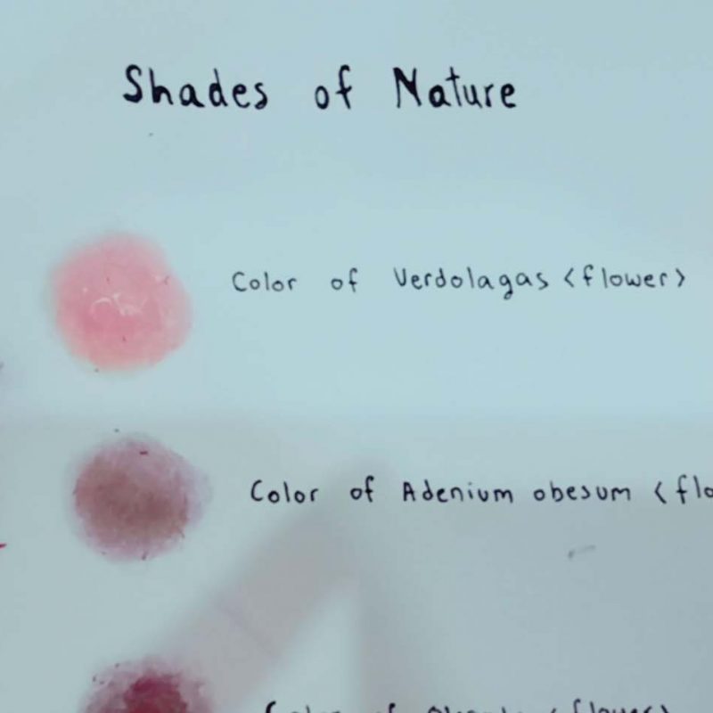 1000_Shades of Nature