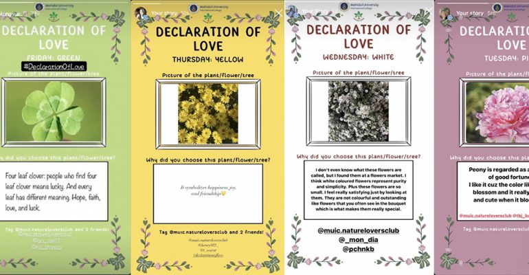 1000-Declaration of Love