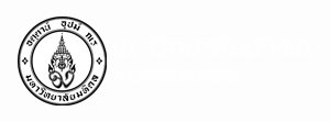 วิทยาลัยนานาชาติ ม.มหิดล (หลักสูตรนานาชาติ): MUIC