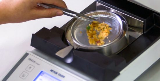 1380_foodsci_major 1380_foodsci_major